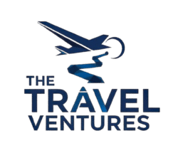 logo 1200 website removebg preview